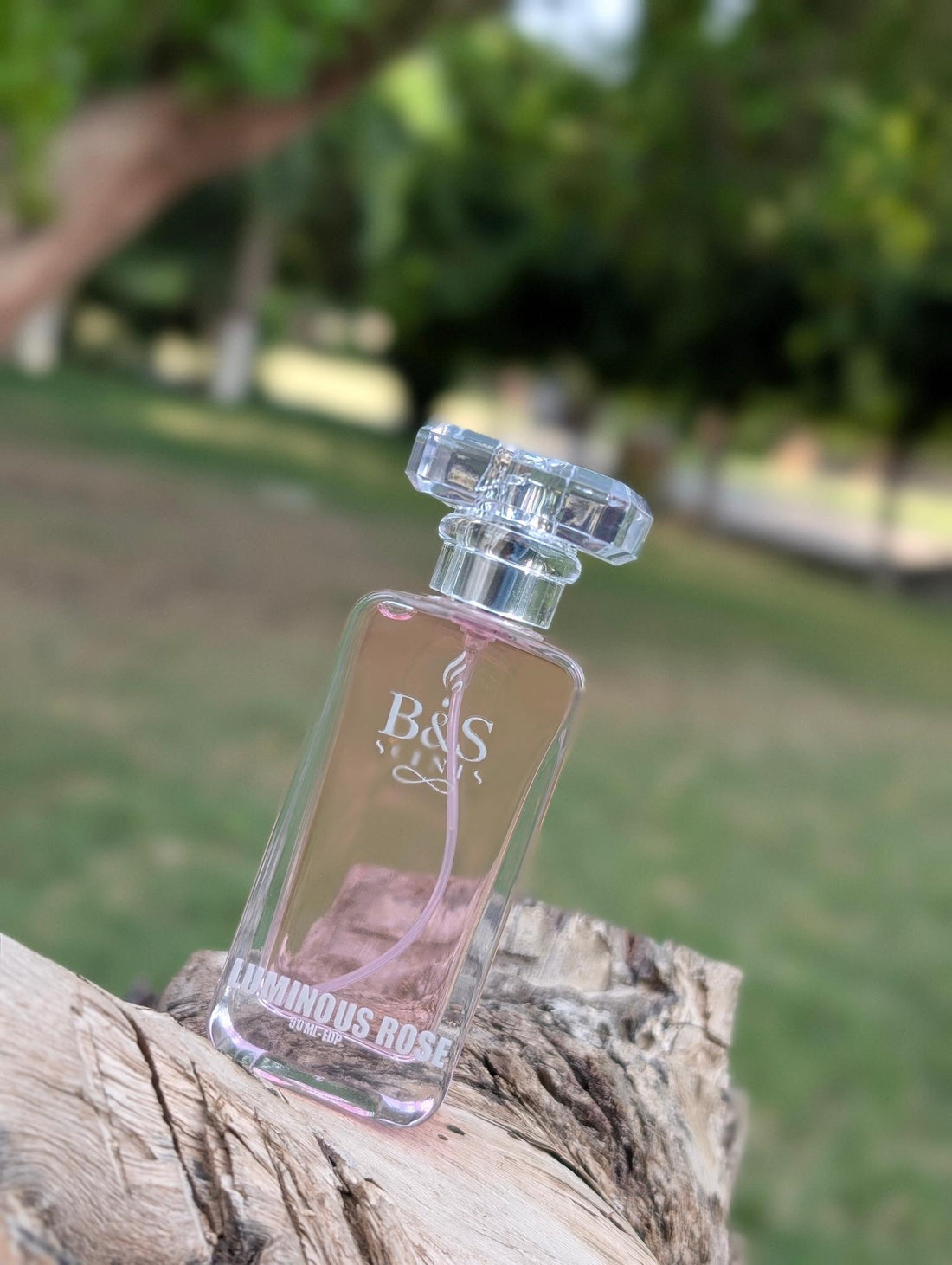 LUMINOUS ROSE by BNS Scents